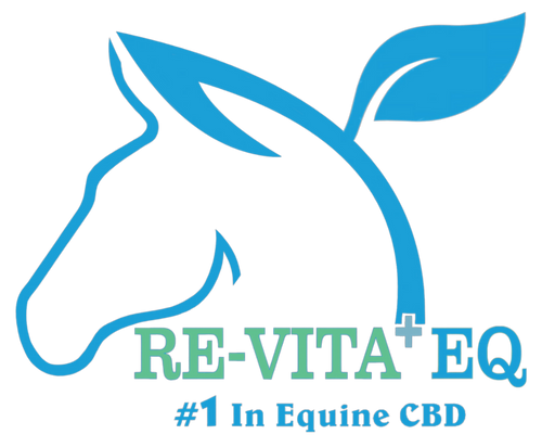 Liquid Gold- Premium Equine Daily Wellness – Re-Vita+