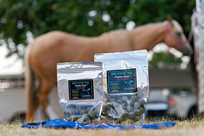 Equine Products