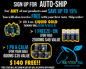 Liquid Gold- Premium Equine Daily Wellness – Re-Vita+